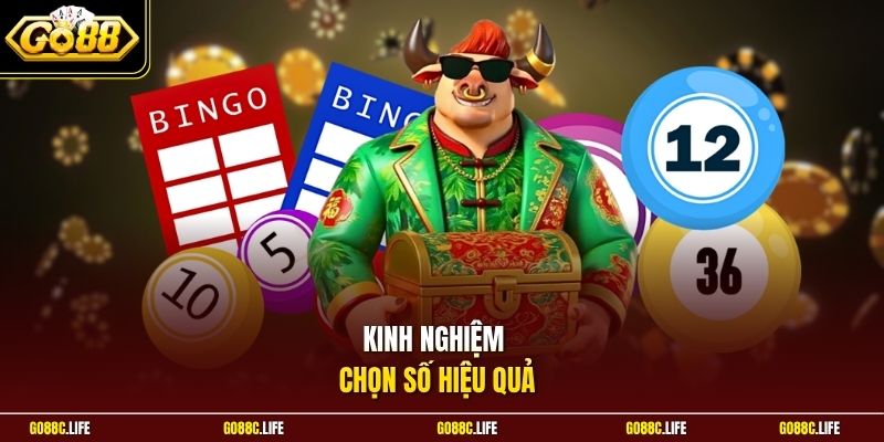 Kinh nghiệm chọn số hiệu quả